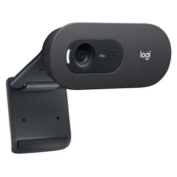 Logitech Webcam C505e Sort