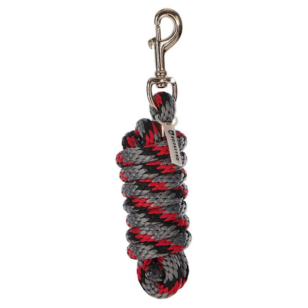 Equestro Red Trim Riimu Ja Talutin  Coby