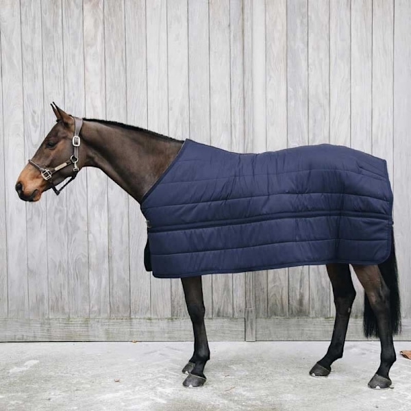 Kentucky Under Matta Skin Friendly 150g  165 cm