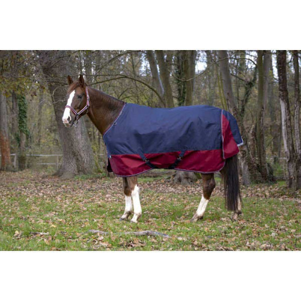 Equitheme Standard Valdeltagande Matta Tyrex 1200 D Polyfil 50g Blå 215-165 cm