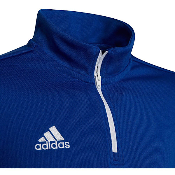 Adidas Entrada 22 Training Tröja Blå 5-6 Years Pojke