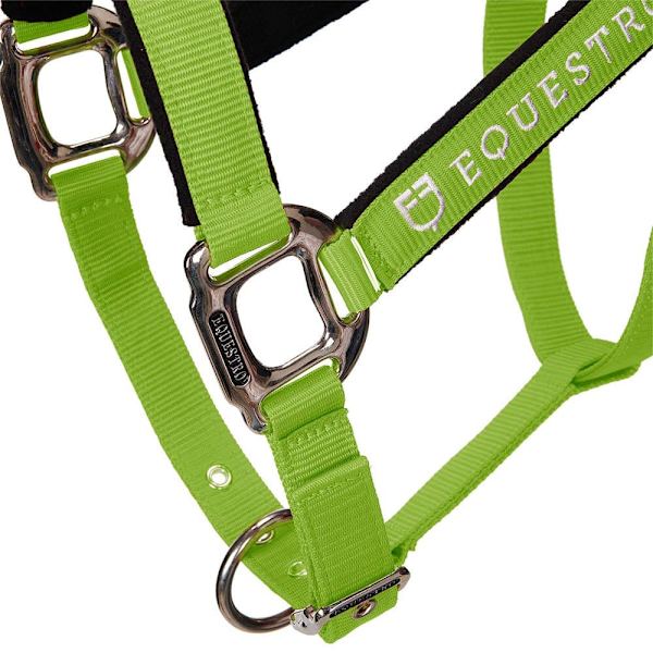 Equestro Riimu Ja Lyijy Shiny Fittings  Cob