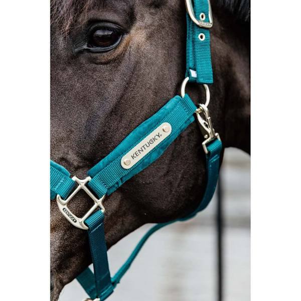 Kentucky Riimu Velvet  Cob