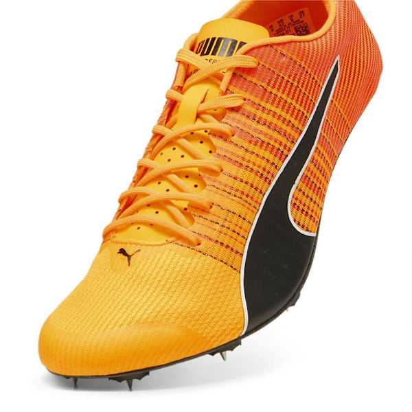 Puma Evospeed Future Fast Sko  EU 40 1/2 Mand
