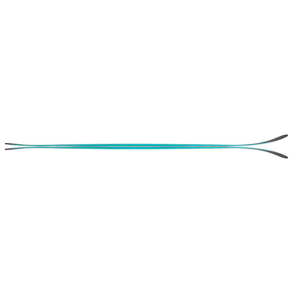 Fischer Alpine Ski Ranger 90 Grå 170