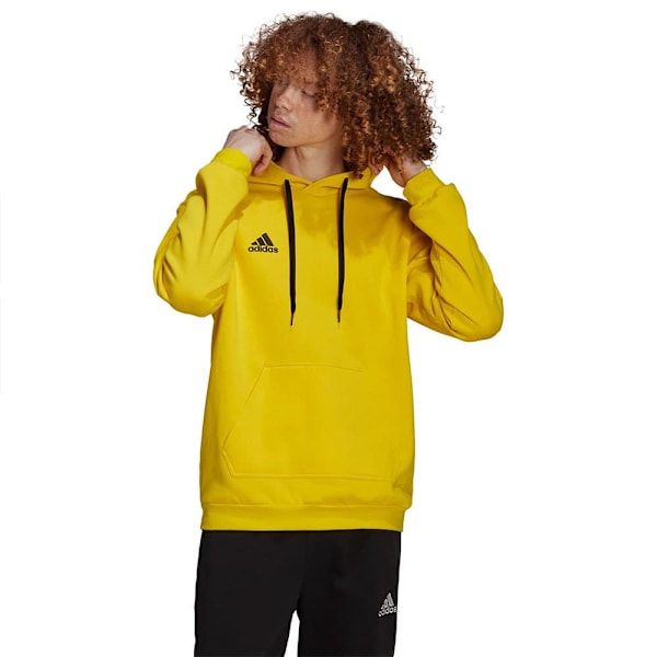 Adidas Entrada 22 Tröja Med Huva Gul L / Tall 3 Man
