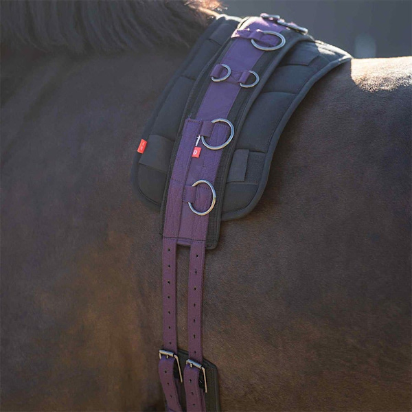 Imperial Riding Deluxe Extra Anfallsgjord  Pony