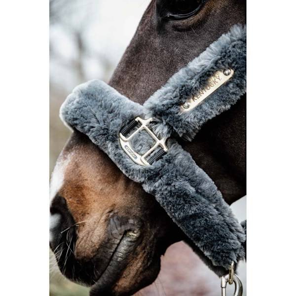 Kentucky Lampaannahkainen Shipping Riimu  Cob