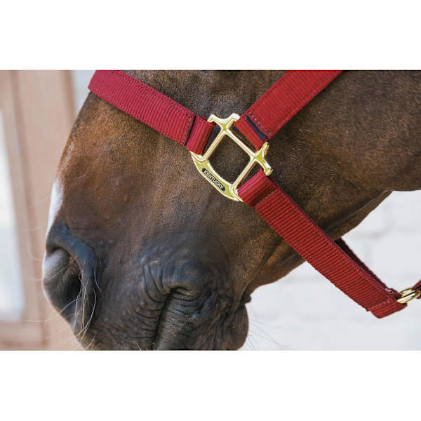 Kentucky Breakaway Halter  Cob