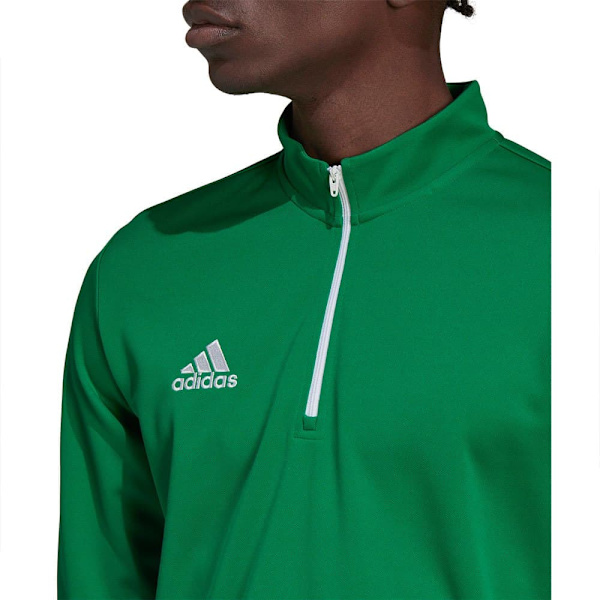 Adidas Tröja Entrada 22 Training Grönt XS / Regular Man