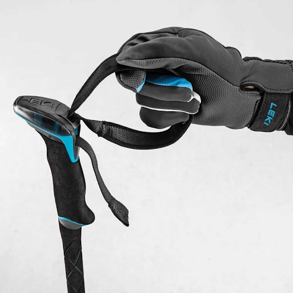 Leki Alpino Polacker Guide Lite 2 Svart 110-145 cm