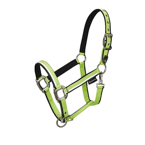 Equestro White Trim Riimu Ja Talutin  Pony