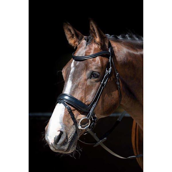 Harry´s Horse Foramen Free Suitset  Cob