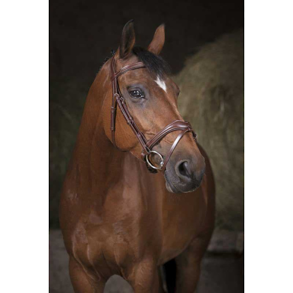 Norton Equestrian Grimma Vague Brun Cob