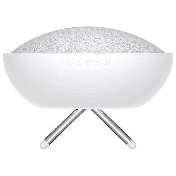 Defunc Smart Högtalare Home S