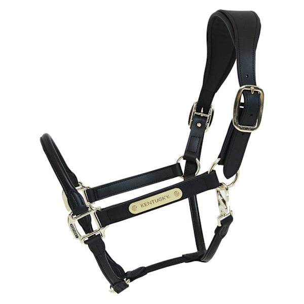 Kentucky Nahka Riimu Anatomic  Full
