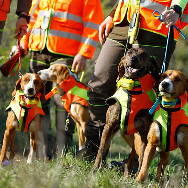 Bitrabi Sigurdog Hundjacka  66-70 cm