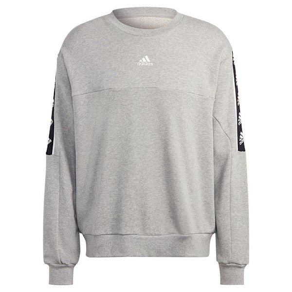 Adidas Tröja Bl Grå L / Regular Man