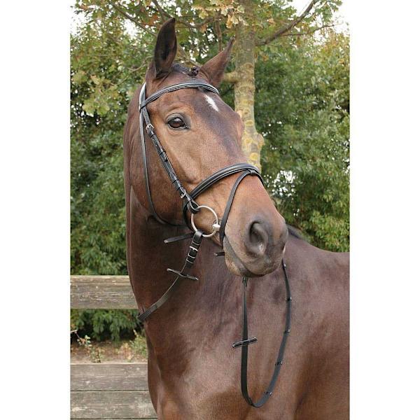 Harry´s Horse Bronze Tygel  Mini