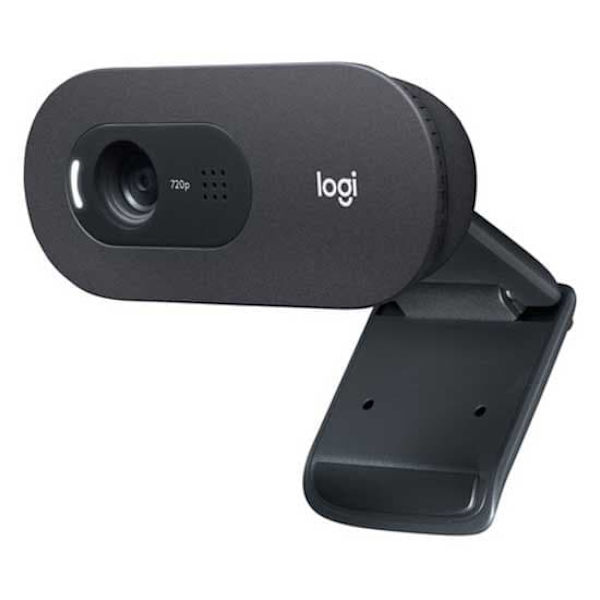 Logitech Webcam C505e Sort