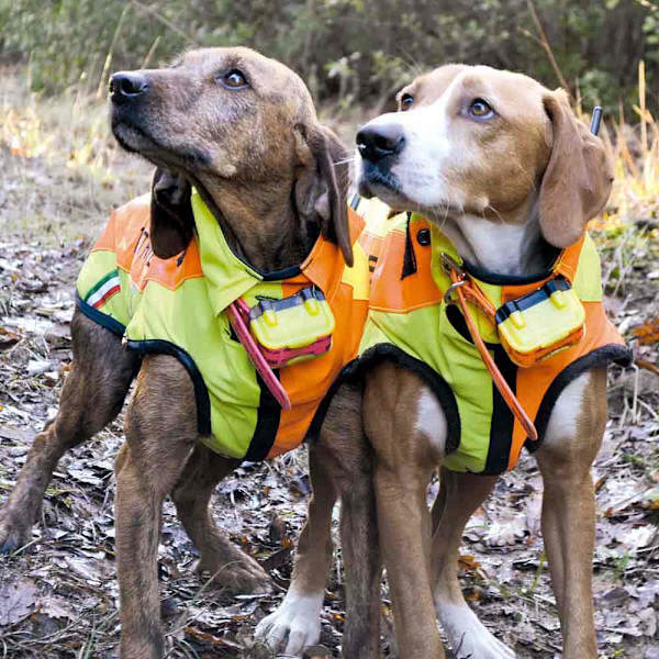 Bitrabi Sigurdog Hundjacka  66-70 cm