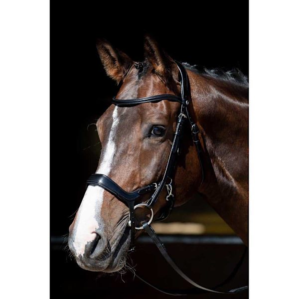 Harry´s Horse Anatomic Release Tygel  Pony