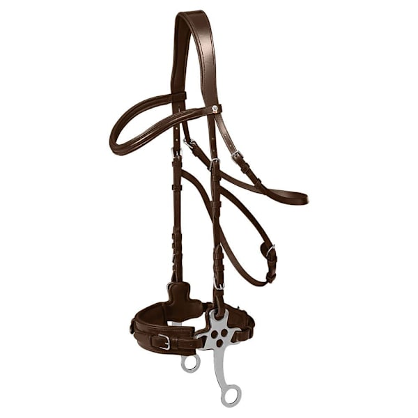 Waldhausen Tygla Hackamore X-line Guld Cob