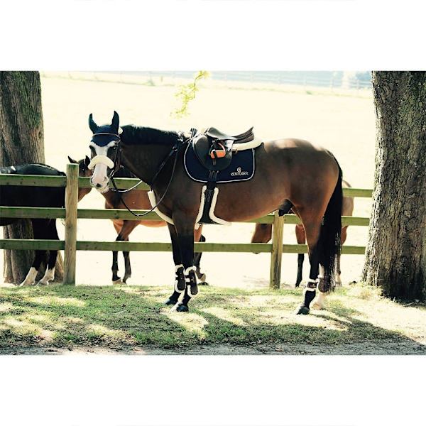 Kentucky Lampaannahkainen Nastavyö Ruskea 125 cm