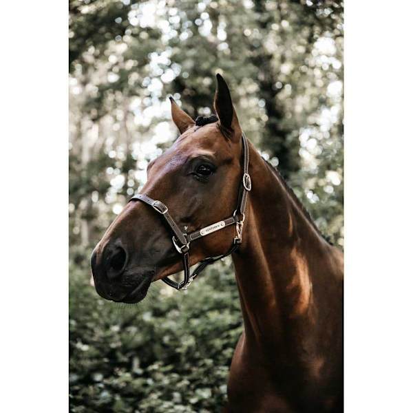Kentucky Läder Grimma Flexible  Full