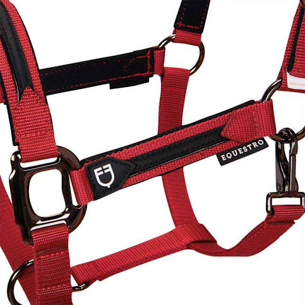 Equestro Elegance Riimu Ja Talutin  Coby