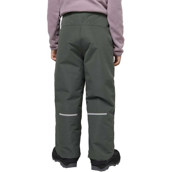 Jack Wolfskin Actamic 2l Ins Byxor Grönt,Grå 140 cm Pojke