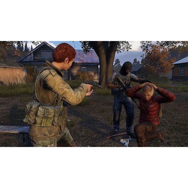 Playstation Games Ps4 Dayz