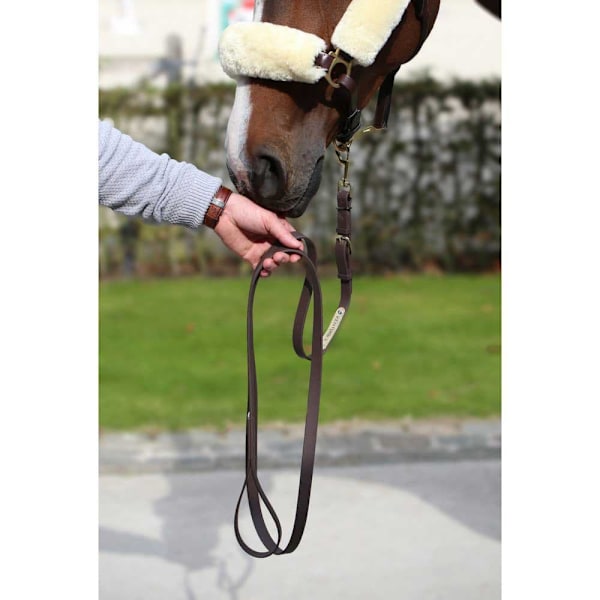 Kentucky Præsentationsleder  200 cm