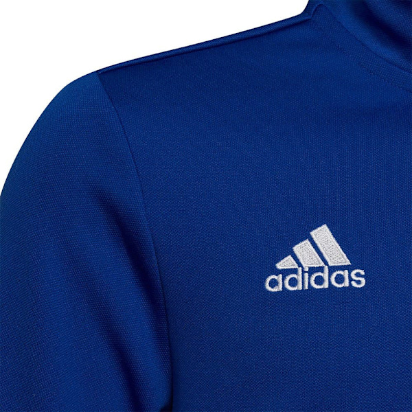 Adidas Entrada 22 Training Tröja Blå 5-6 Years Pojke