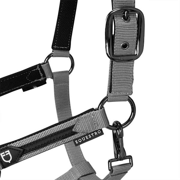 Equestro Elegance Riimu Ja Talutin  Coby