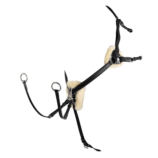 Equestro Salome Rintapanssari  Cob