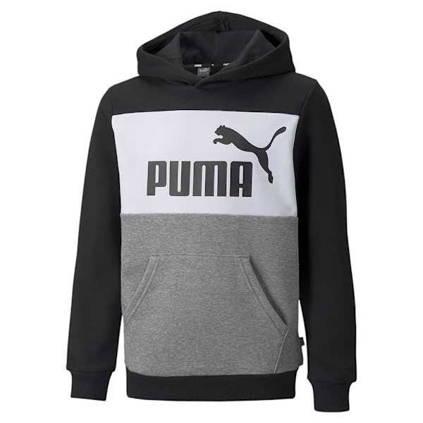 Puma Tröja Essentials+ Colorblock Fl Grå 7-8 Years