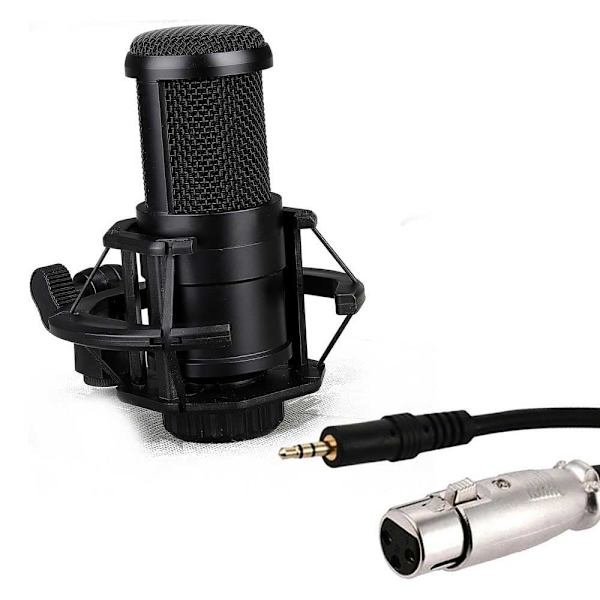 Phoenix Mikrofon Med Beslag Phstreamcast-pro Sort
