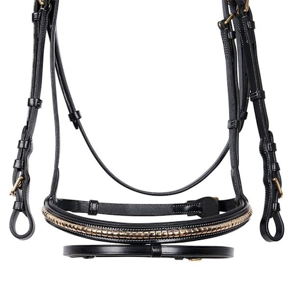 Equestro Ottone Halter  Cob