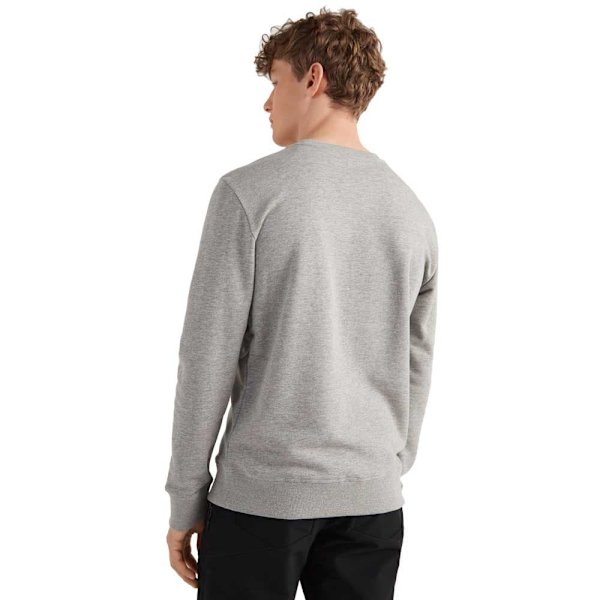 O´neill Sweatshirt Cube Grå L Mand