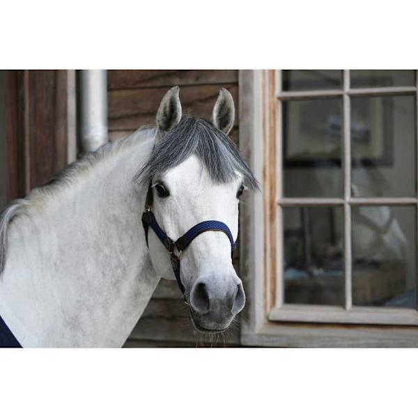 Kentucky Punottu Riimu Nylon  Full