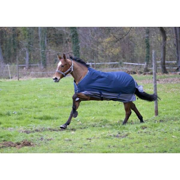 Equitheme Standard Valdeltagande Matta Tyrex 600 D Polyfil 0g Blå 140-100 cm