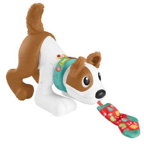 Fisher Price Krypa Med Mig Valp 123 Flerfärgad 6 Months