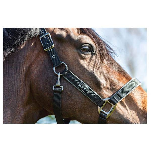 Anky Riimu Grooming Ath22001 Musta Cob