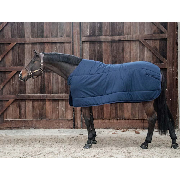 Kentucky Under Matta Classic 100g  155 cm
