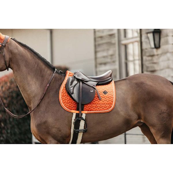 Kentucky Satulatyynyn Hyppy Velvet Oranssi Pony