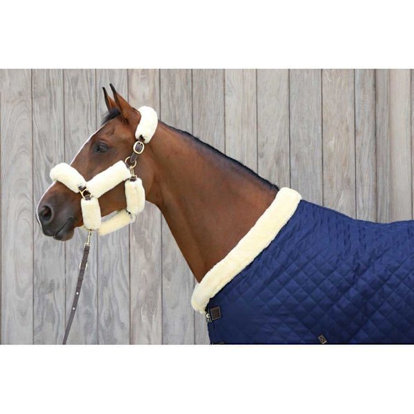 Kentucky Præsentationsleder  200 cm