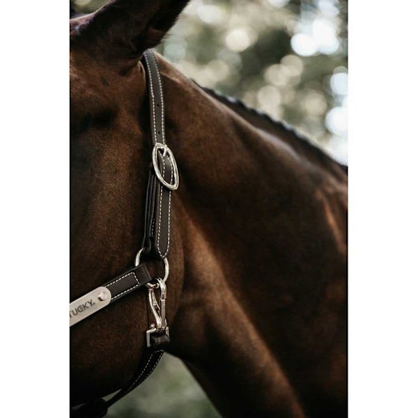 Kentucky Läder Grimma Flexible  Full