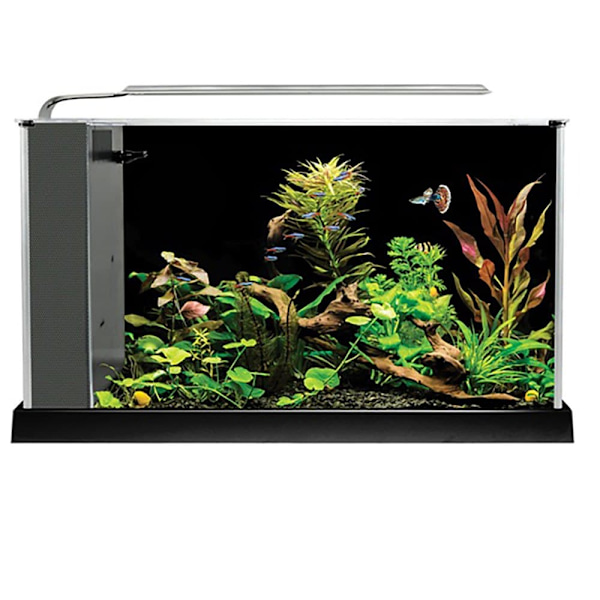 Fluval Spec 19l Akvarium