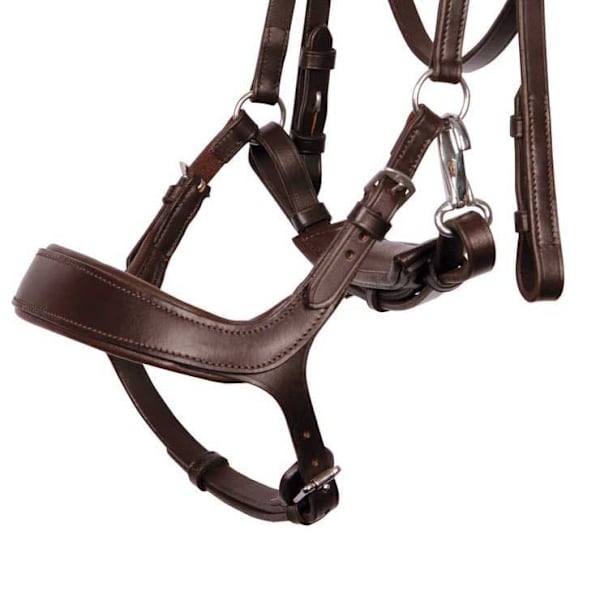 Harry´s Horse Anatomic Release Tygel Brun Cob
